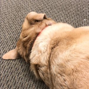 Meet your Posher, Nancy